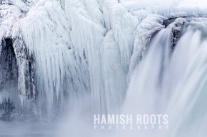 /gallery/cache/landscape%20details/Landscape-Details-godafoss-ice-close-up_290_cw290_ch193_thumb.jpg